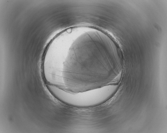 X0000115061422200912071142