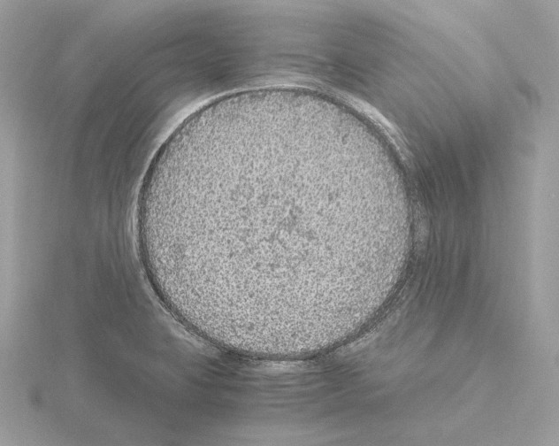 X0000115061423200912071142