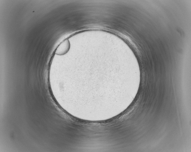 X0000115061424200912071142