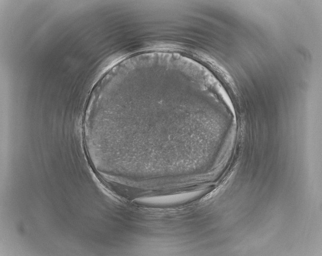 X0000115061425200912071142