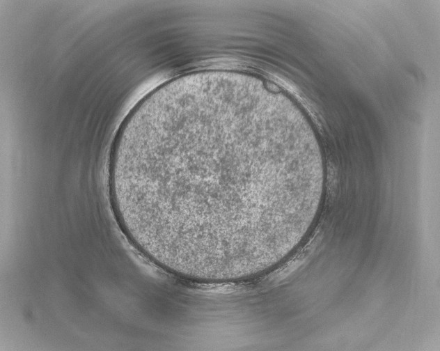 X0000115061426200912071142