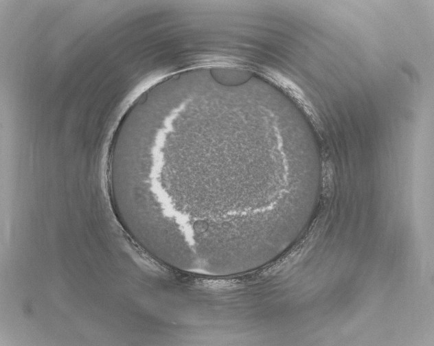 X0000115061427200912071142