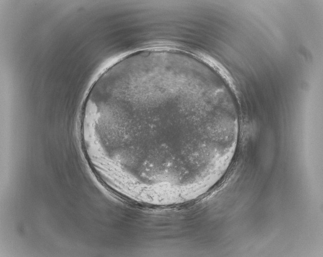 X0000115061429200912071142