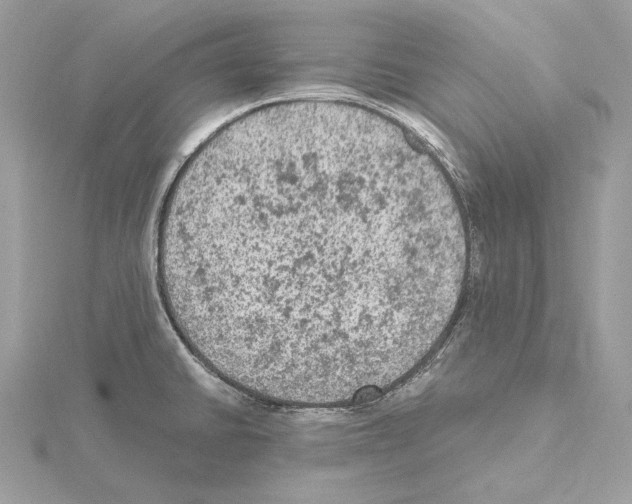 X0000115061430200912071142