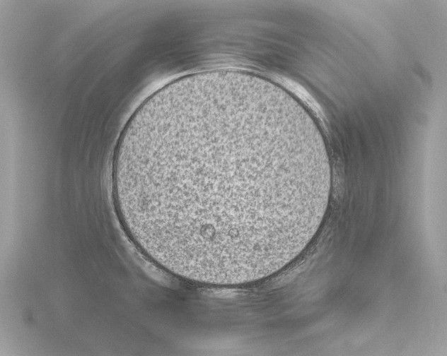 X0000115061431200912071142