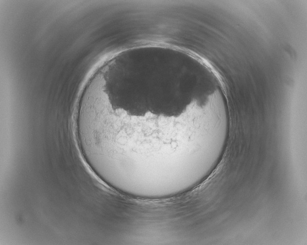 X0000115061432200912071142