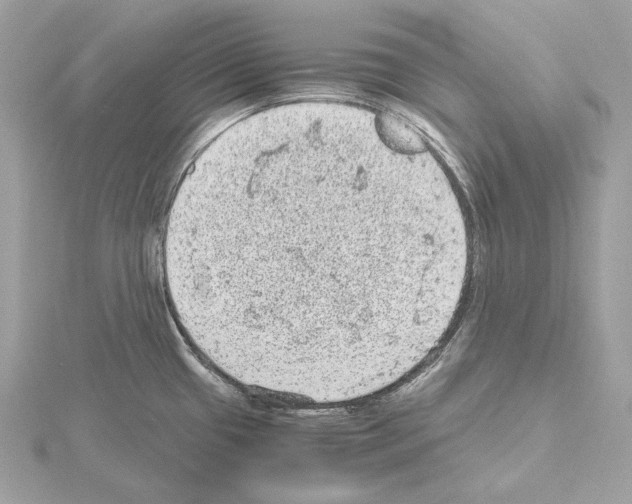 X0000115061433200912071142