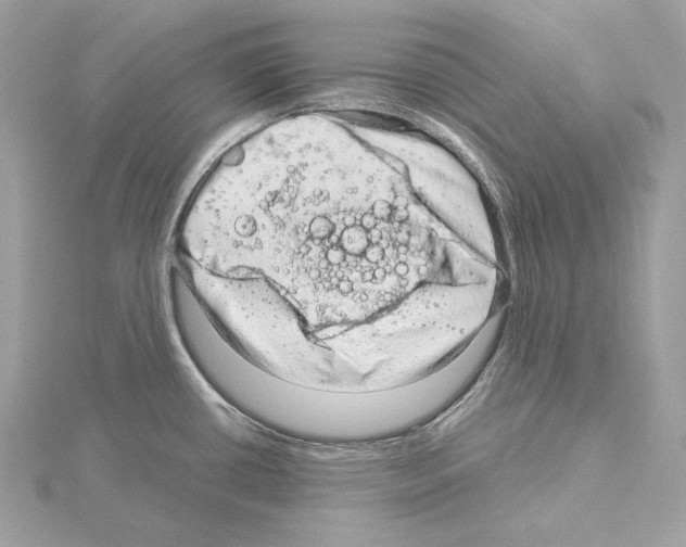 X0000115061434200912071142