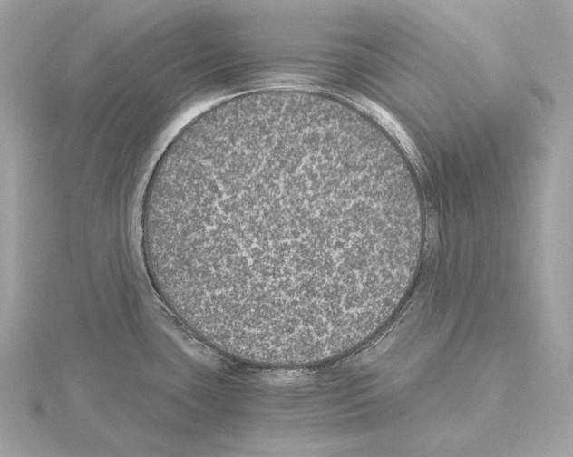 X0000115061435200912071142