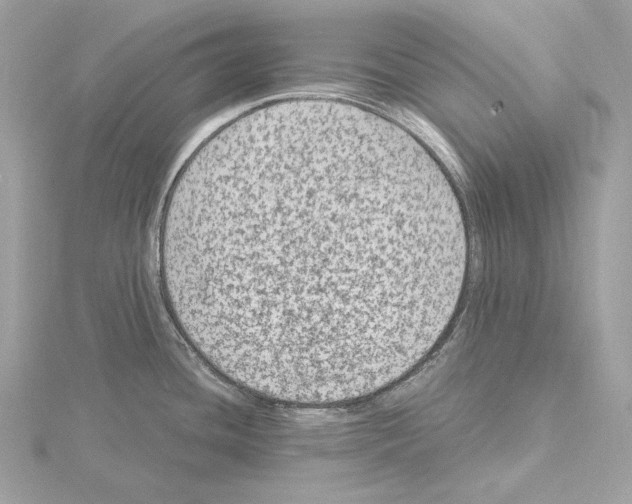 X0000115061436200912071142