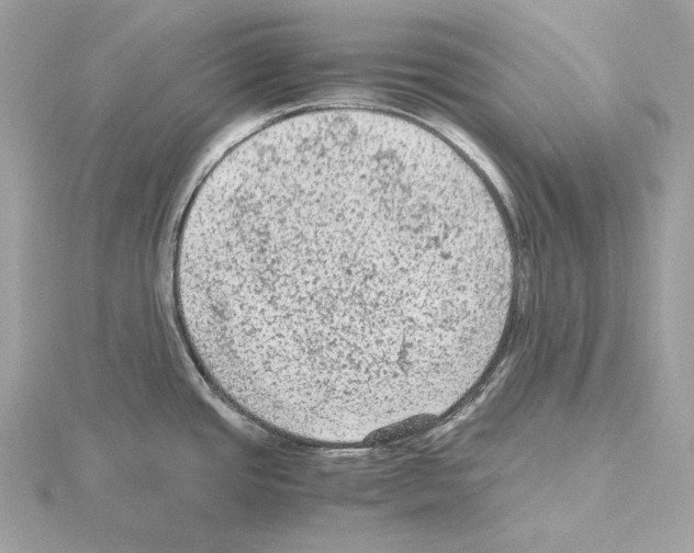 X0000115061437200912071142