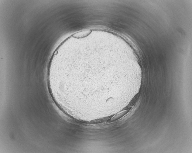 X0000115061438200912071142