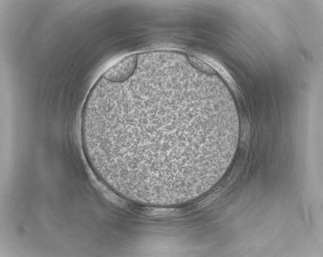 X0000115061439200912071142