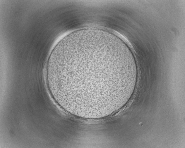 X0000115061440200912071142