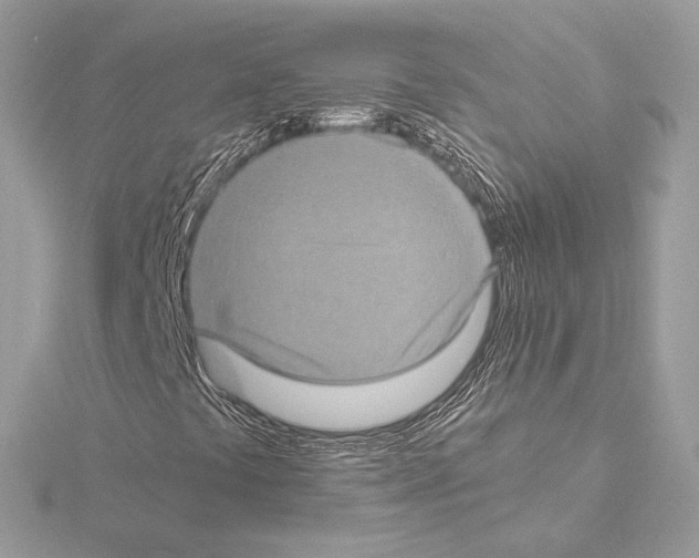 X0000115061441200912071141