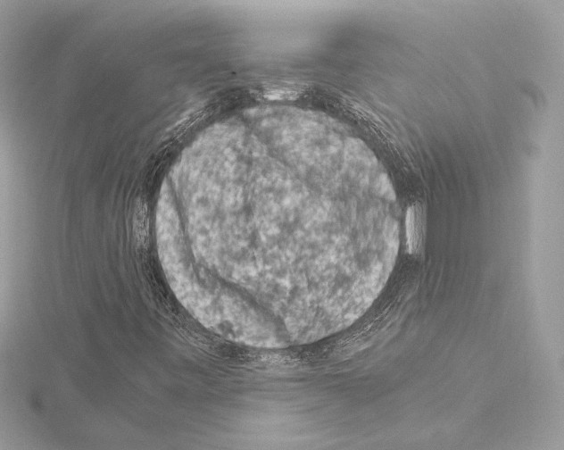 X0000115061443200912071141