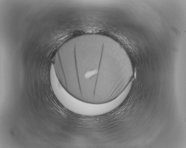 X0000115061444200912071141