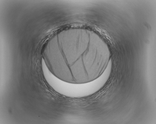 X0000115061445200912071141