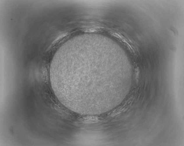 X0000115061446200912071141