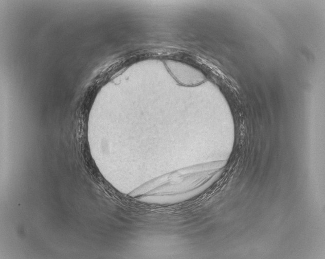 X0000115061447200912071141