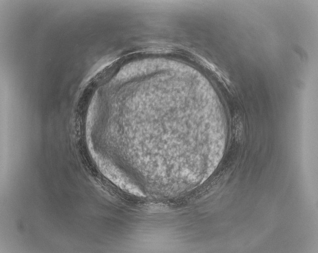 X0000115061448200912071141