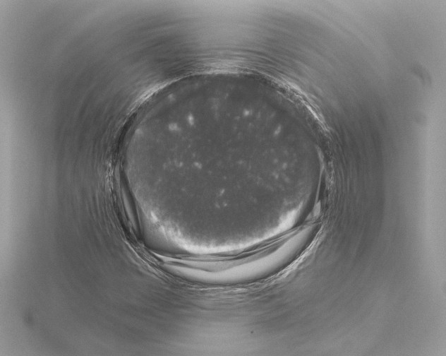 X0000115061449200912071141