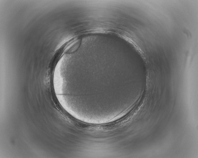 X0000115061450200912071141