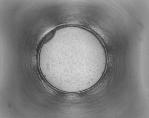 X0000115061452200912071141