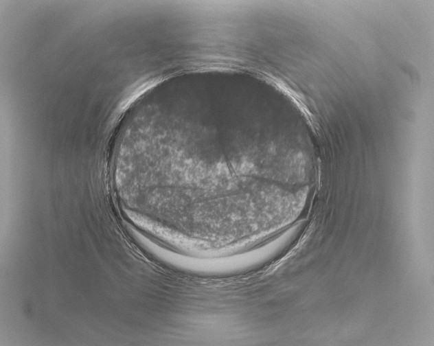 X0000115061453200912071141