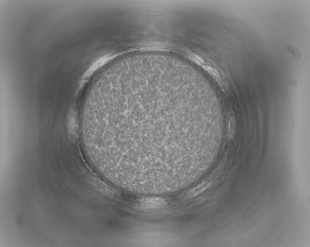 X0000115061454200912071141