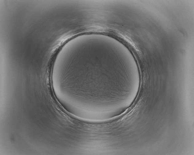 X0000115061455200912071141