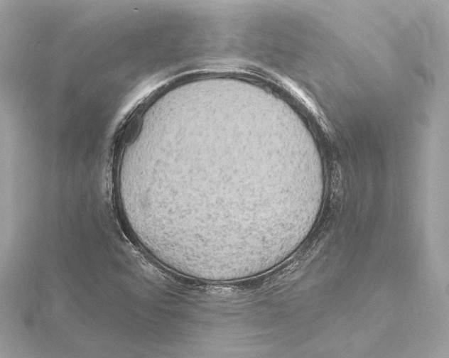 X0000115061456200912071141