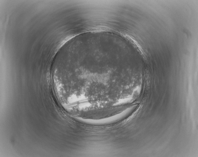 X0000115061457200912071141