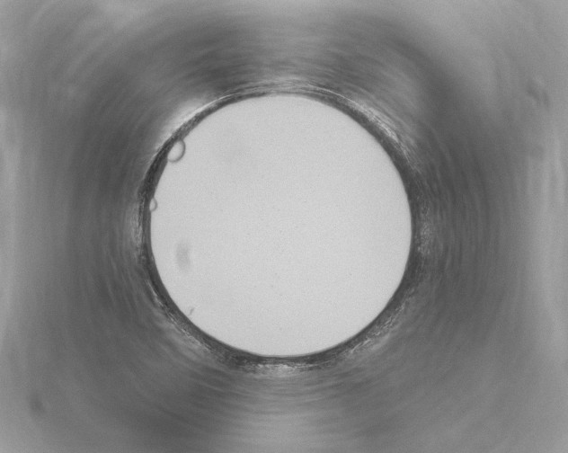 X0000115061458200912071141