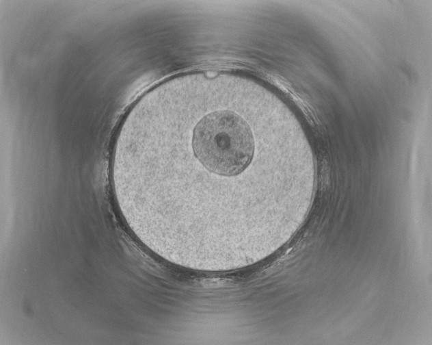 X0000115061459200912071141