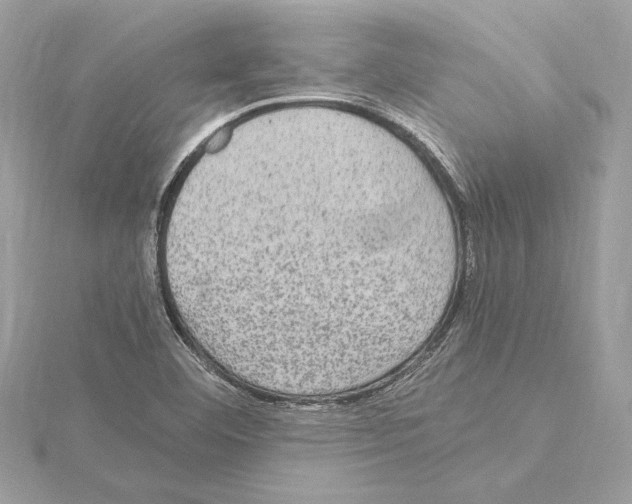 X0000115061460200912071141