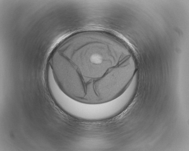 X0000115061461200912071141