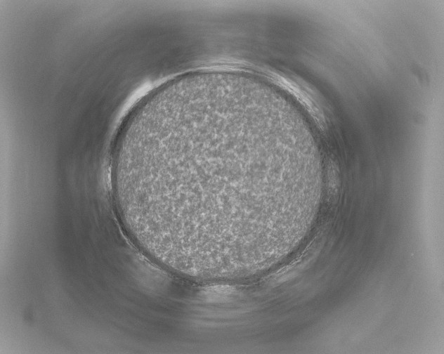 X0000115061462200912071141