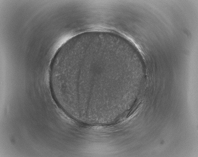 X0000115061463200912071141