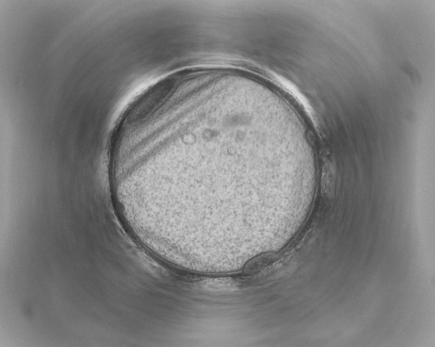 X0000115061464200912071141