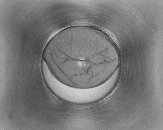 X0000115061465200912071141