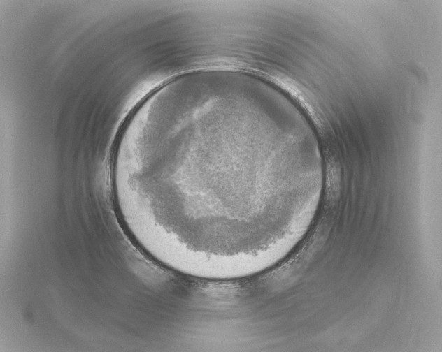 X0000115061466200912071141