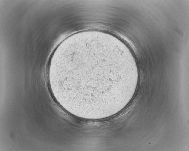 X0000115061467200912071141