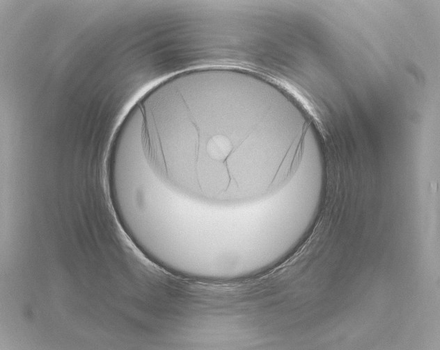 X0000115061468200912071141