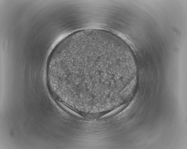 X0000115061469200912071141