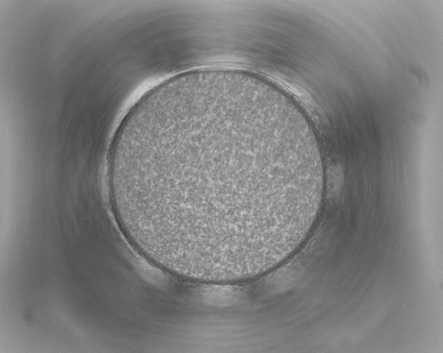 X0000115061470200912071141