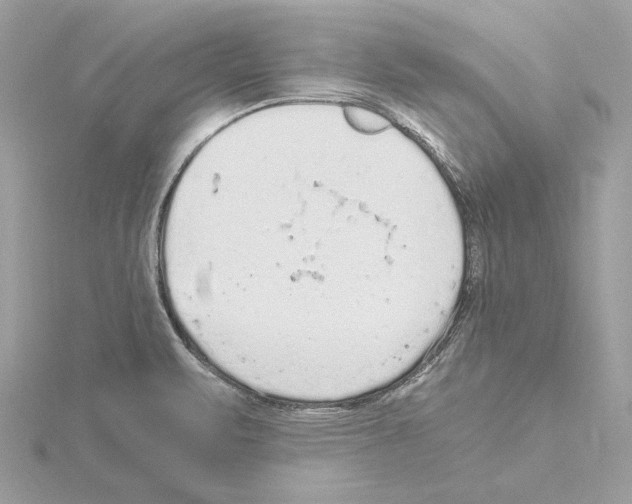 X0000115061471200912071141