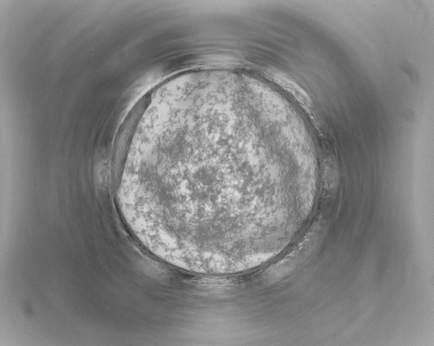 X0000115061473200912071141