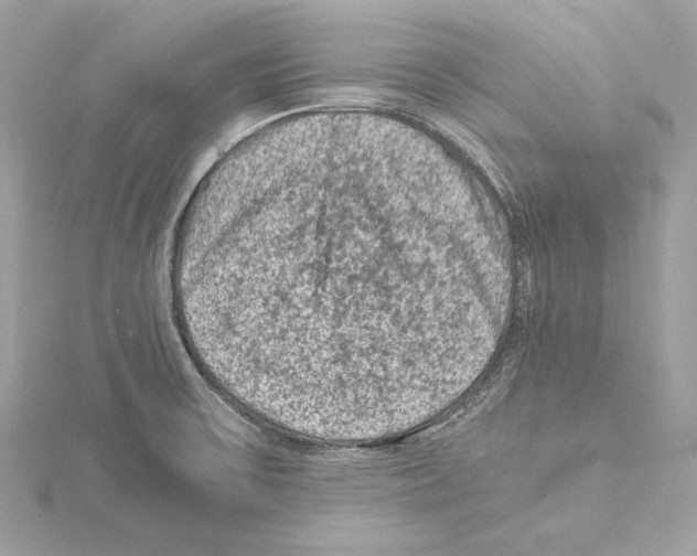 X0000115061475200912071141