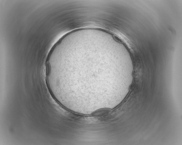 X0000115061476200912071141